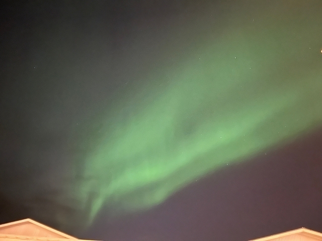       Northern lights display in the night sky.
  