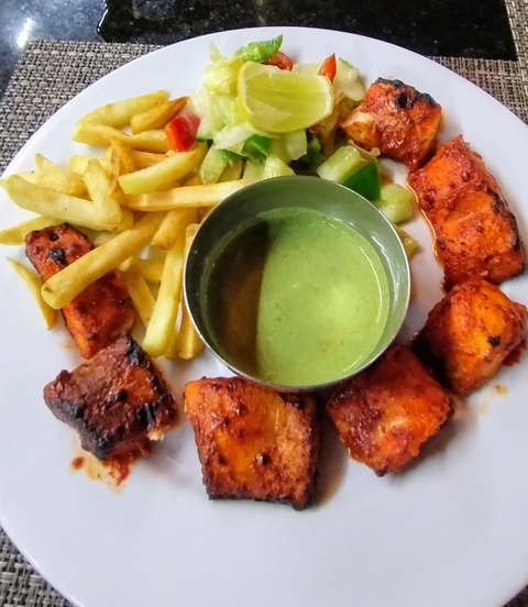 Food plate with sauce, fries, and grilled pieces.