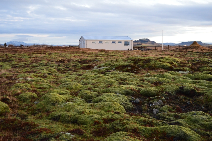       White building in a green mossy landscape.
  