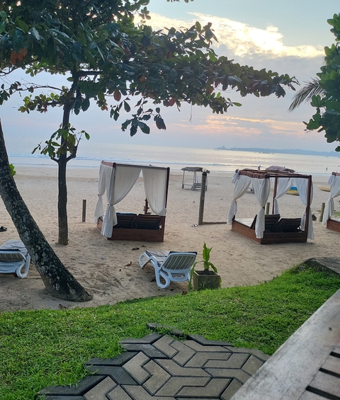 Beach cabanas and loungers with the ocean in the background.