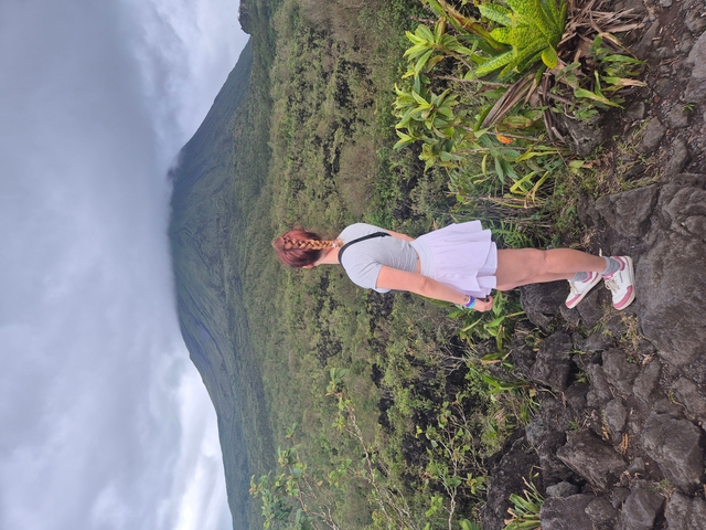 A person overlooking a lush mountainous landscape.