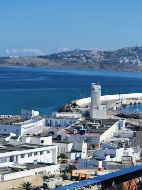       Blurred cityscape with coastline and ocean.
  