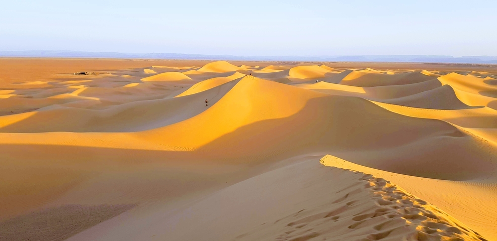 Golden sand dunes under sunlight, casting shadows and illuminating the natural landscape.
