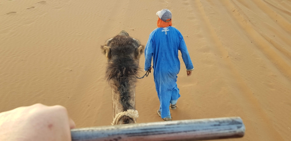 A person wearing a blue robe leading a camel through the desert.