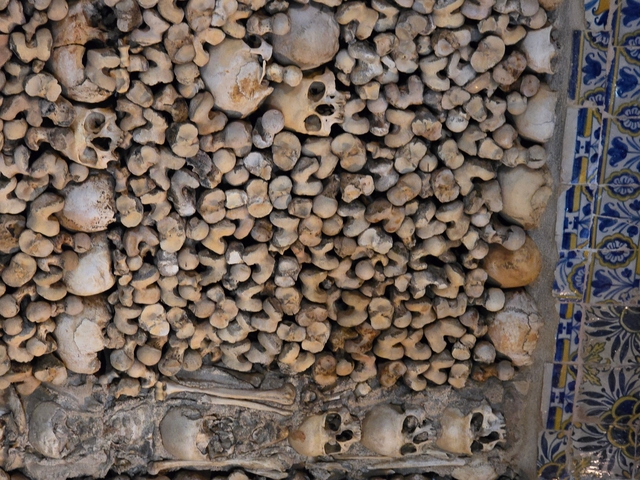 Wall with skulls and bones arranged decoratively.