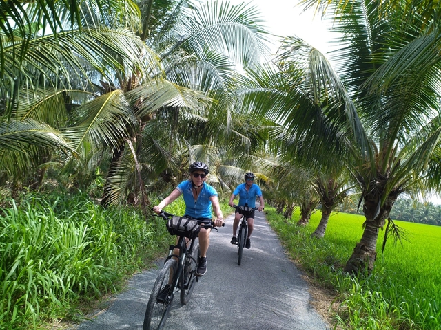 Two people biking under palm trees on a narrow path.