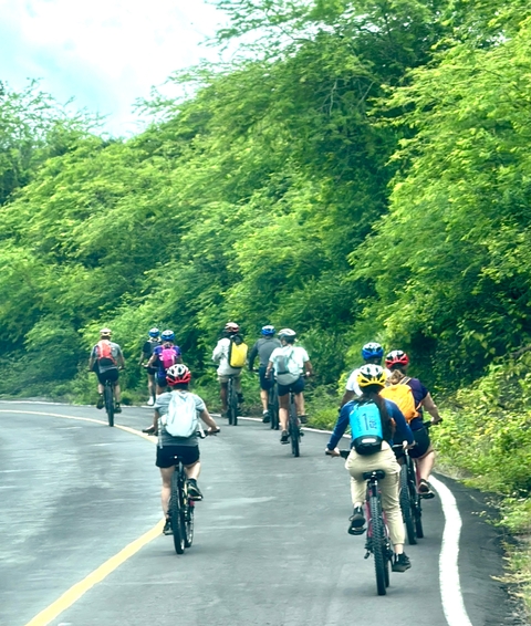       Cyclists biking along a lush, green road.
  