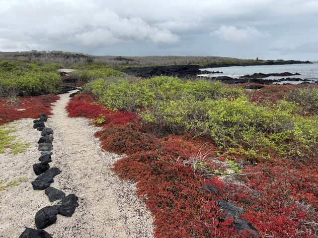 Winding sandy path through a vivid, rocky landscape.