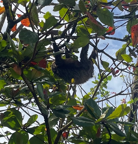       Photo d'avis client sur Journeys : Découvrez le Costa Rica National Geographic Journeys 
  