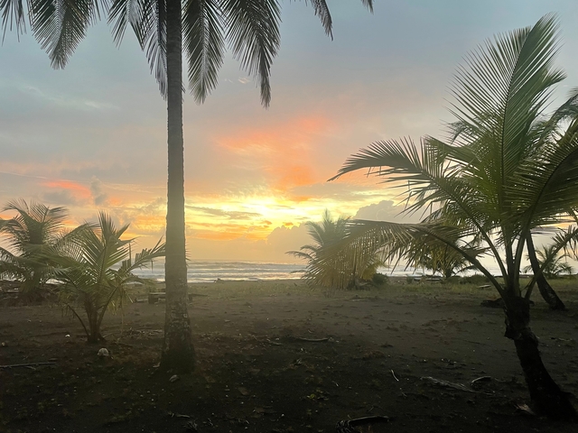       Sunset on a beach with palm trees silhouettes.
  
