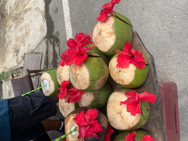       Cart with coconuts adorned with red hibiscus flowers.
  
