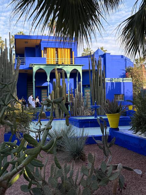      Colorful garden with cacti and a striking blue building.
  