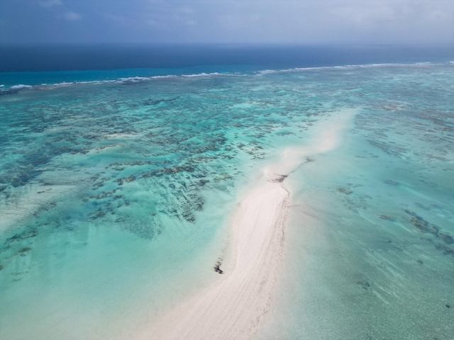 Aerial view of a stunning coral reef pattern in the ocean.