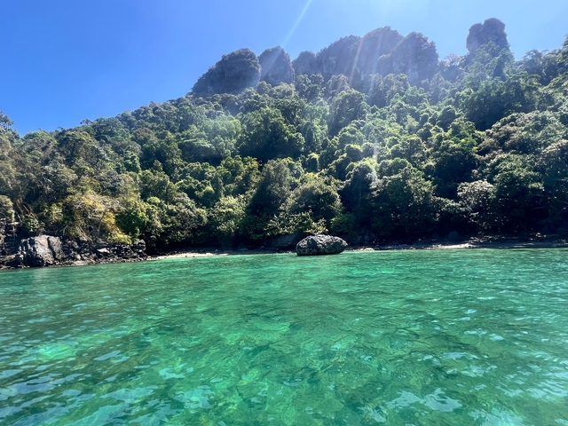 Lush green forest surrounding a crystal-clear lagoon.