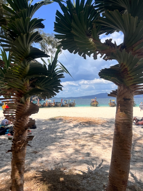       Tropical beach with palm trees framing traditional longtail boats near the shore.
  
