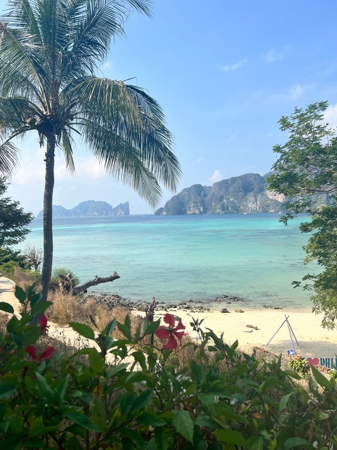       Scenic view of a bay with palm trees and turquoise waters.
  