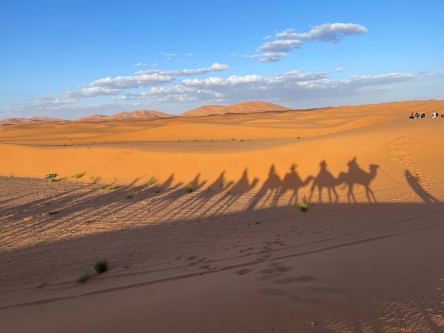       Camel caravan casting long shadows on desert dunes under a blue sky.
  