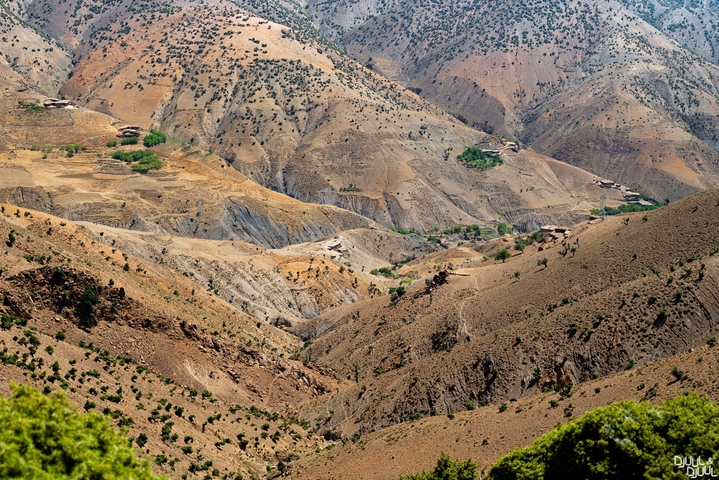 Hilly landscape with sparse vegetation.