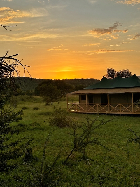Sunset over a tented camp in the savannah.