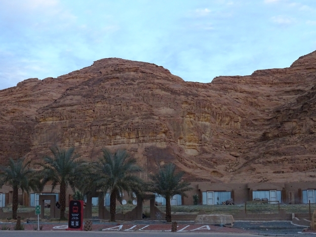       Rugged landscape with palm trees
  