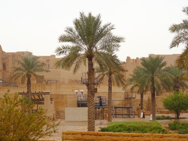      Palm trees with people in a historical desert setting
  