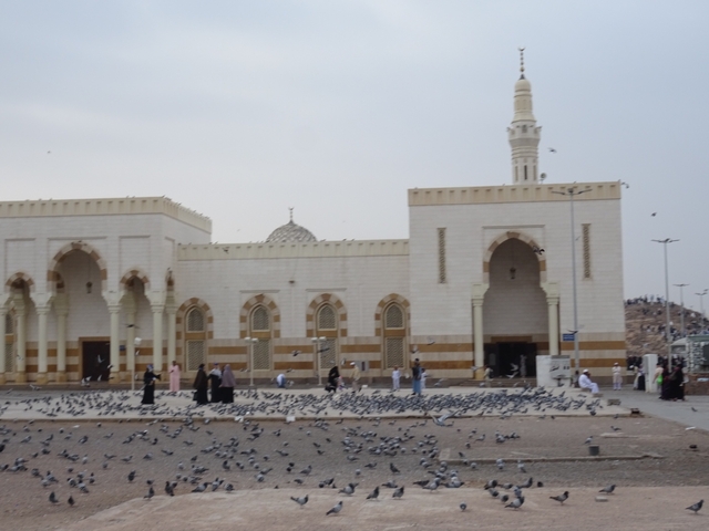       White mosque with people and pigeons
  