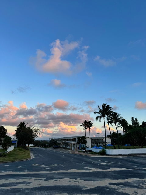 Palm trees silhouetted against a colorful sky.