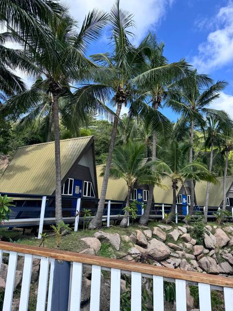       Series of cabins surrounded by palm trees.
  