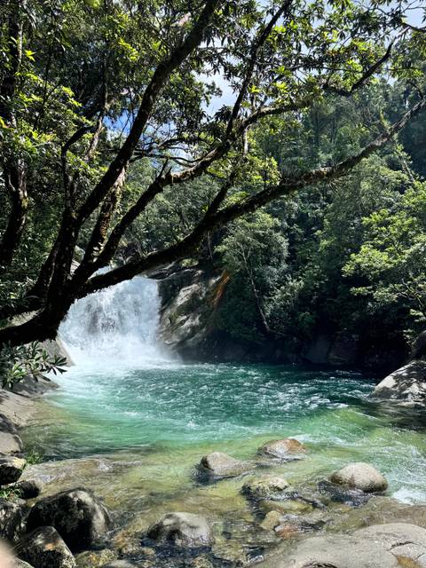 Waterfall in a dense forest area.