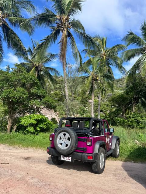 Jeep parked near palm trees in a lush setting.