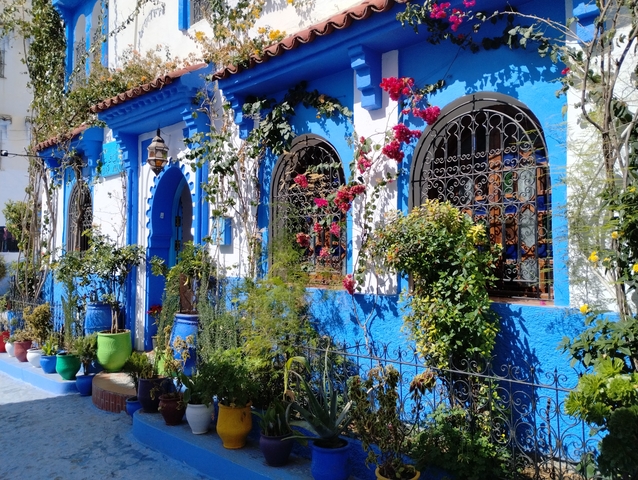       Vibrantly painted blue and white house with potted plants.
  
