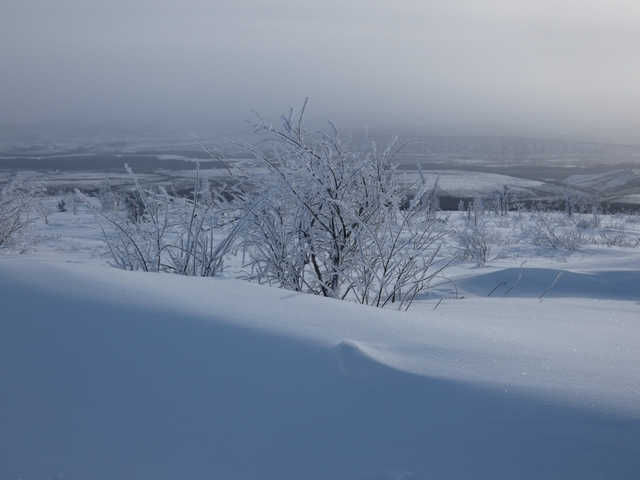       Snowy landscape with frosted trees and a wide view.
  