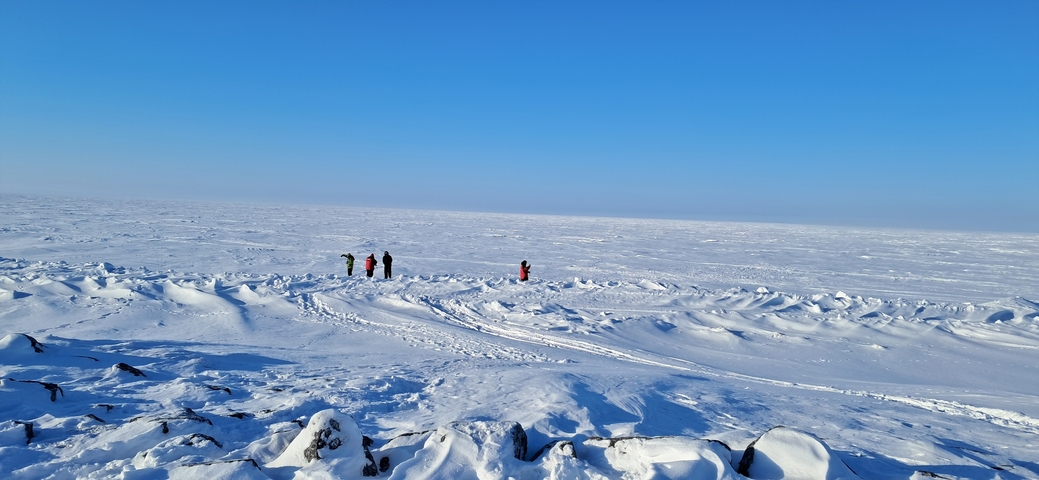 Group of people in a vast snowy landscape.