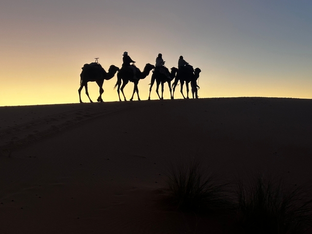       Silhouette of people on camels against a sunset desert background
  