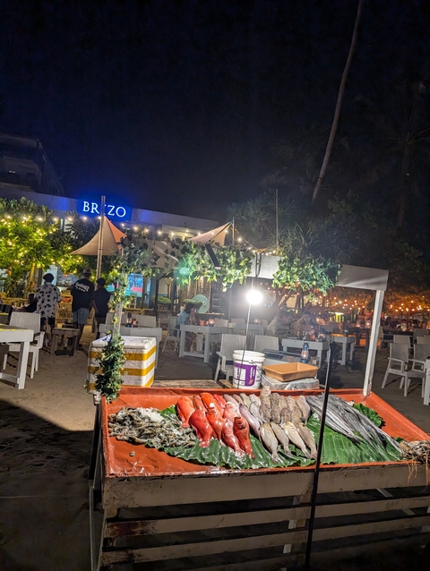 Outdoor restaurant area with string lights and tropical decor.