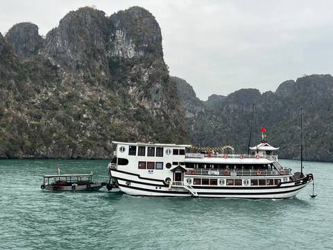       A cruise ship sailing near rocky cliffs in a bay.
  