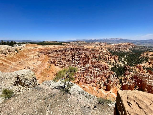 Vast panoramic view of Bryce Canyon's unique rock formations.