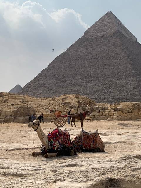       Pyramids with tourists and camels nearby.
  