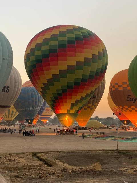       Colorful hot air balloons inflating on open land.
  