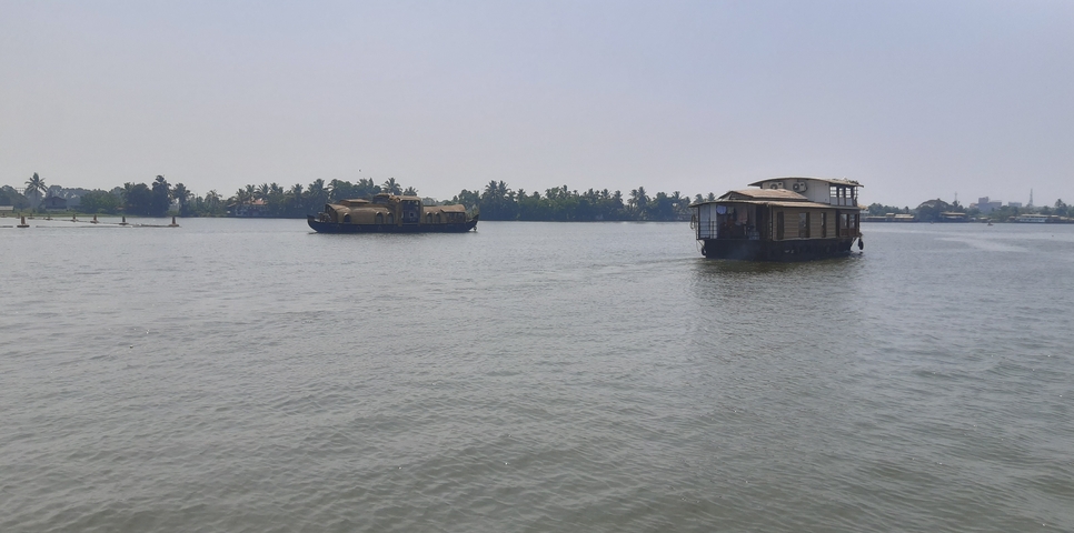       Houseboats on a lake with palm trees in the background
  