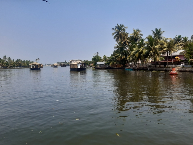       Tranquil waterway with houseboats and palms
  