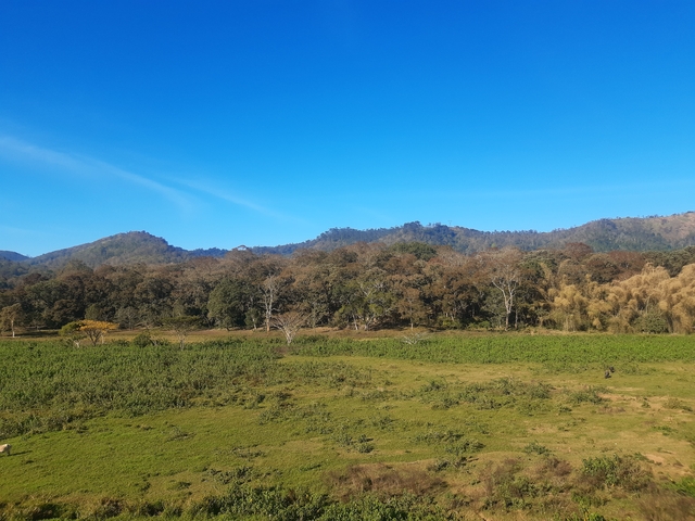       Sunny landscape with trees and hills in the background
  