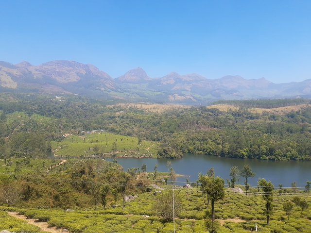      Lake view with mountains and lush greenery
  