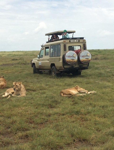       foto de reseña de cliente de Safari de Lujo de 4 Días para la Gran Migración de los Ñus 
  