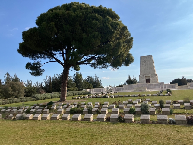       Cemetery with a monument and a tree.
  