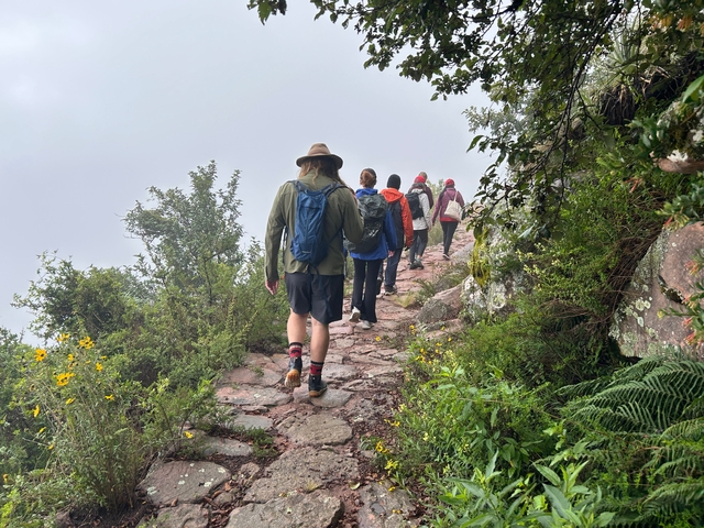 People hiking on a narrow path surrounded by greenery.