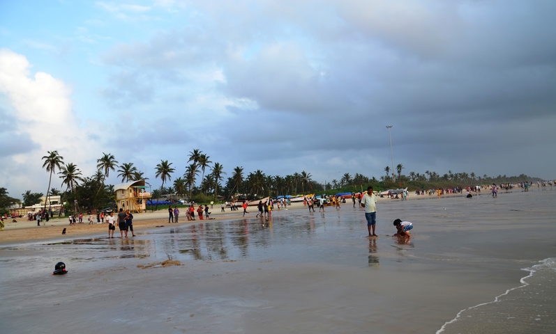 A busy beach with people and palm trees.