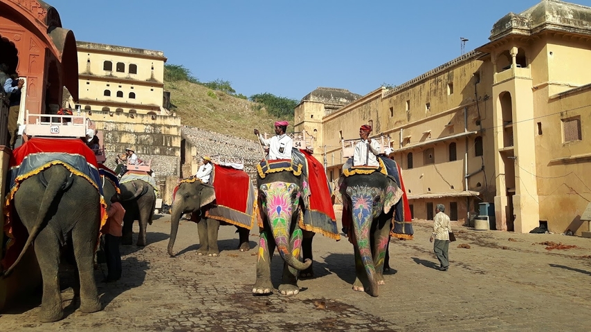Elephants decorated for a tourist ride with riders.