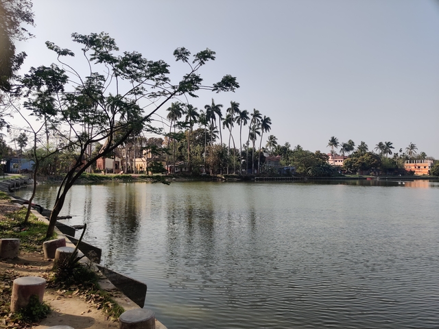 Quiet lakeside view with palm trees and historic buildings.