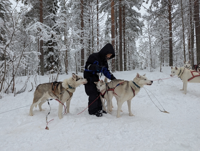 Person with sled dogs in a snowy forest.